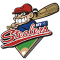 HSV Stealers team logo 