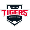 KIA Tigers team logo 