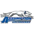 Assumption College Greyhounds