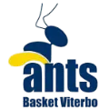 Basket Viterbo Ants