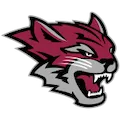 Cal State Chico Wildcats