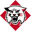 DAVIDSON WILDCATS