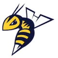 Edmonton Stingers