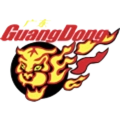 Guangdong Southern Tigers