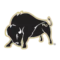 Harding Bisons