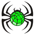 HORNSBY SPIDERS