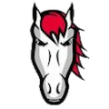 Leicester Riders