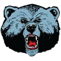 Livingstone Blue Bears