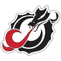 Minnesota State Moorhead Dragons