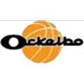 Ockelbo Basket
