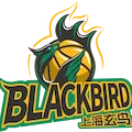 Shanghai Blackbird