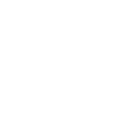 Basquet Sant Antoni