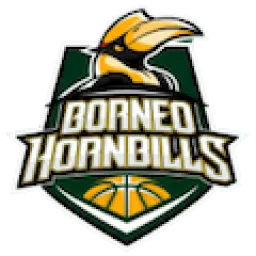 Borneo Hornbills