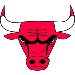 Chicago Bulls