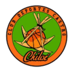 Club Deportes Castro