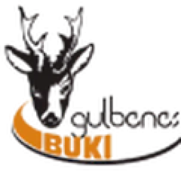 Gulbenes Buki/BJSS
