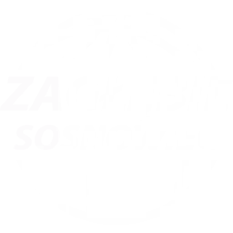 Jas-Fbg Zaglebie Sosnowiec