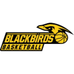 Gussing/Jennersdorf Blackbirds