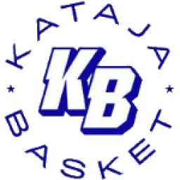 Joensuun Kataja