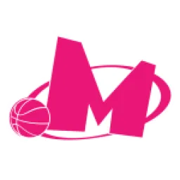 KK Mega Basket