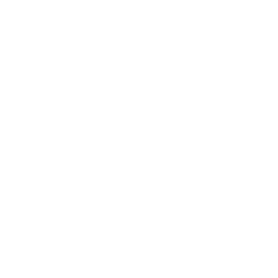 Lyonso Basket