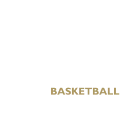 Newcastle Eagles