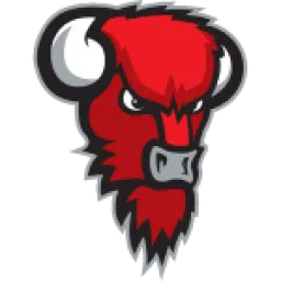 Bisons Loimaa