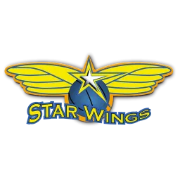 Starwings Basket
