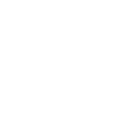 VEF Riga