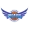 Daegu Pegasus