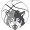 Kontich Wolves HSE