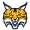 Quinnipiac Bobcats