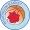 Rhodigium Basket Asd
