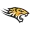 TOWSON TIGERS