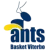 Basket Viterbo Ants