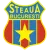 Steaua CSM Bucuresti