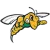 Black Hills State Yellow Jackets