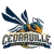 Cedarville Yellow Jackets
