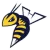 Edmonton Stingers