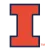 Illinois Fighting Illini