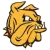 Minnesota-Duluth Bulldogs