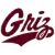Montana Grizzlies