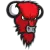 Nilan Bisons Loimaa