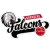 Nuremberg Falcons BC
