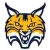 Quinnipiac Bobcats