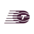 Toronto Tempo