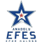 Anadolu Efes SK team logo 