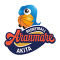 ARANMARE AKITA team logo 