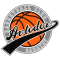 Avtodor Saratov team logo 