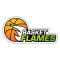 Basket Flames team logo 